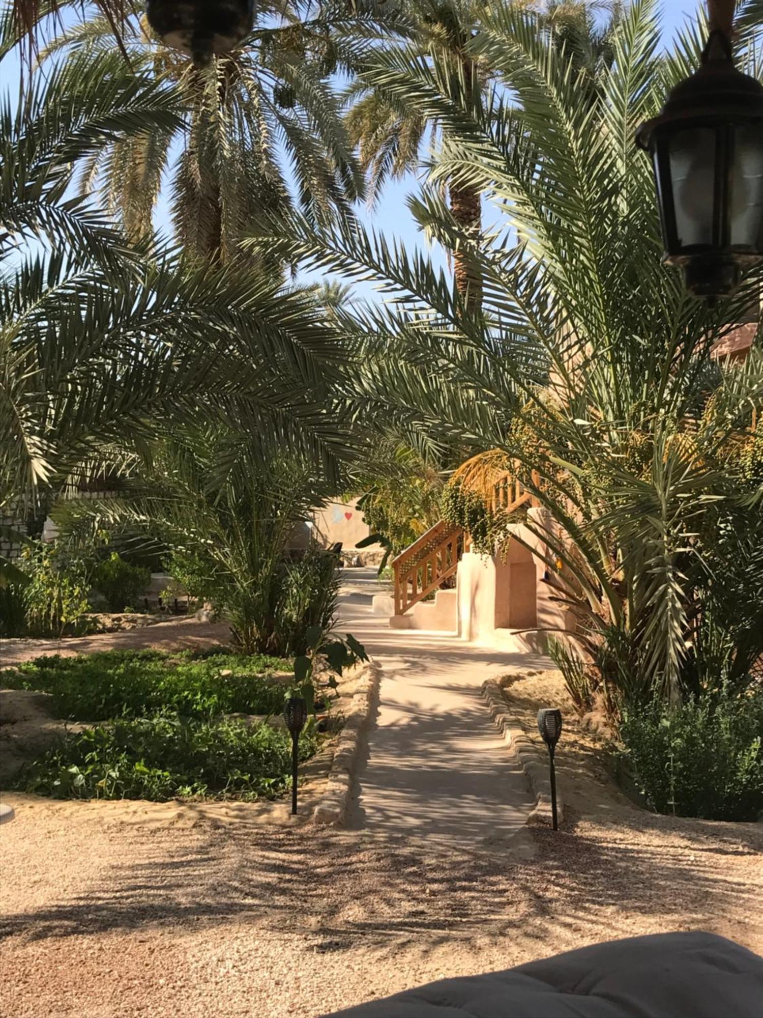 Siwa Spot Διαμέρισμα Siwa Oasis Εξωτερικό φωτογραφία