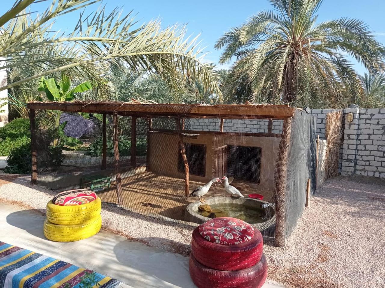 Siwa Spot Διαμέρισμα Siwa Oasis Εξωτερικό φωτογραφία