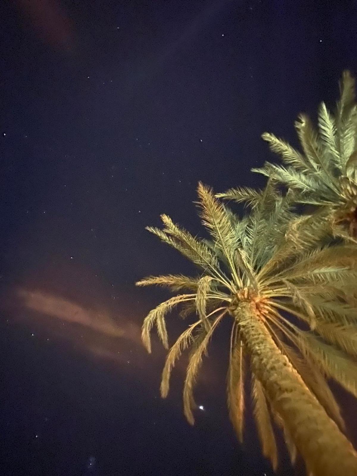 Siwa Spot Διαμέρισμα Siwa Oasis Εξωτερικό φωτογραφία