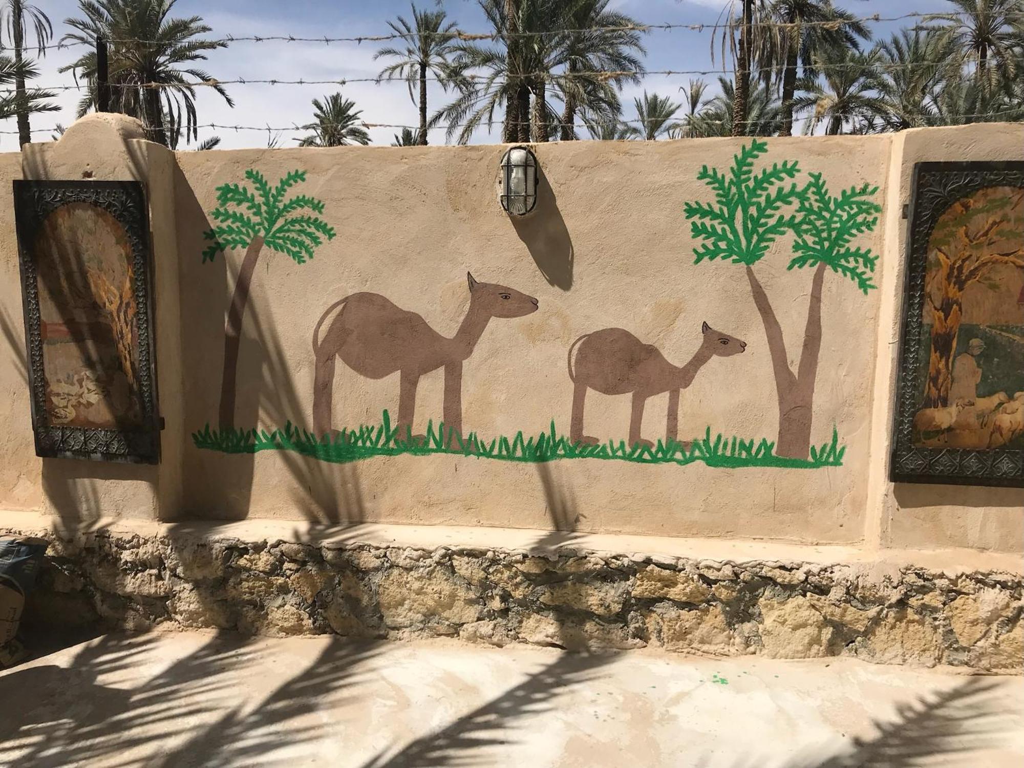 Siwa Spot Διαμέρισμα Siwa Oasis Εξωτερικό φωτογραφία